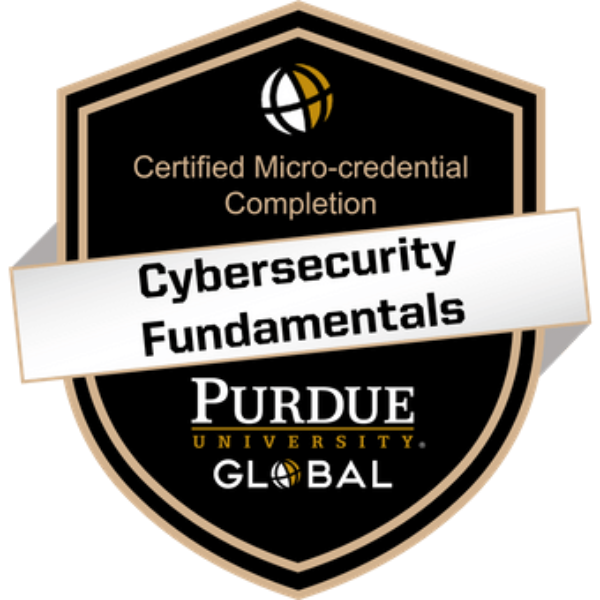 Cybersecurity Fundamentals Micro-credential