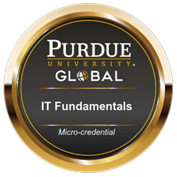 IT Fundamentals Micro-credential